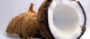 Kokosový ořech a jeho zázračné účinky pro zdraví i krásu
