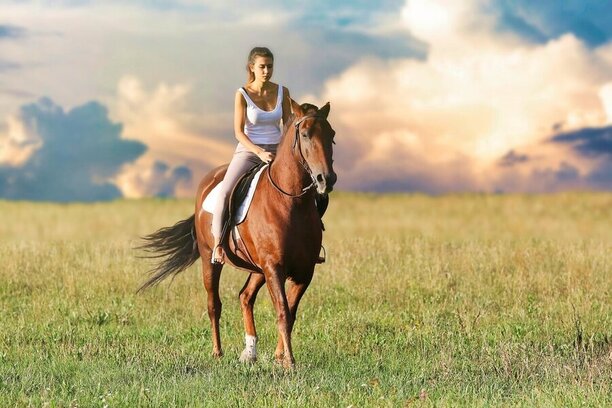 Splňte si životní sen a podívejte se, jak začít s jízdou na koni